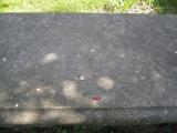 image of grave number 536173